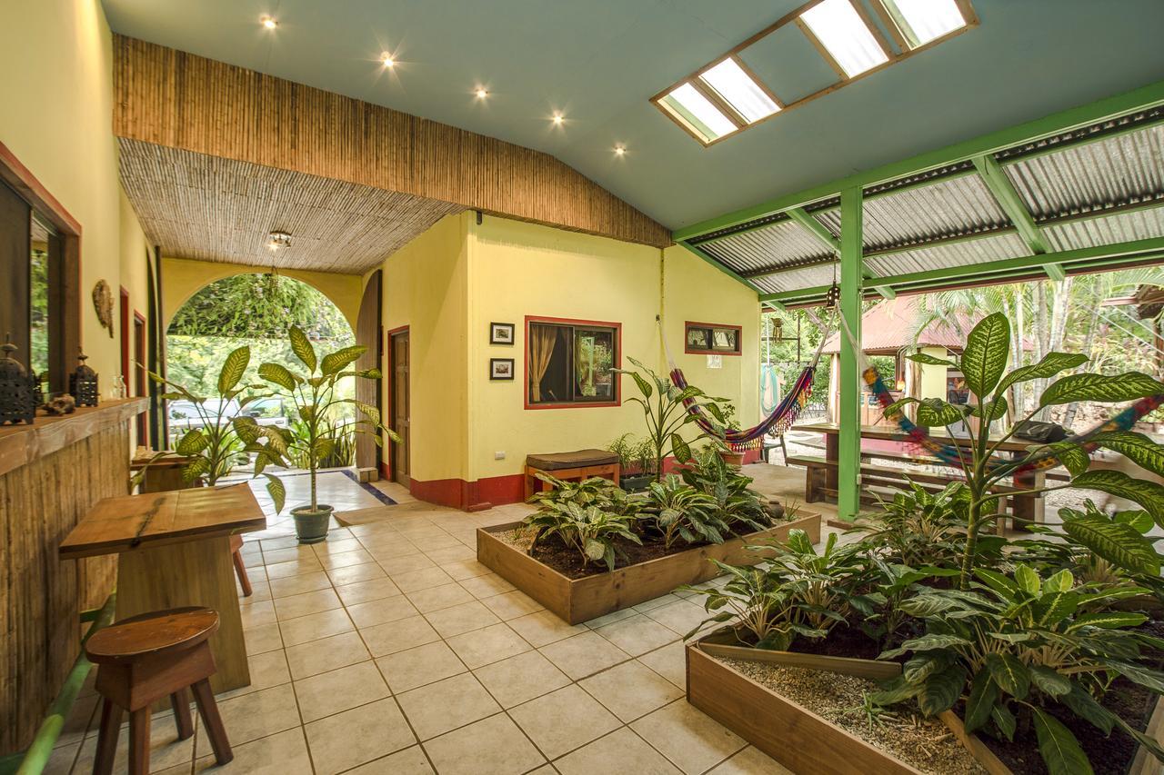 Indra Inn Playa Grande Eksteriør billede